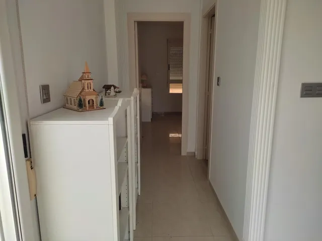 CHALET SEMINUEVO A DOS PASOS DE ELCHE — 30