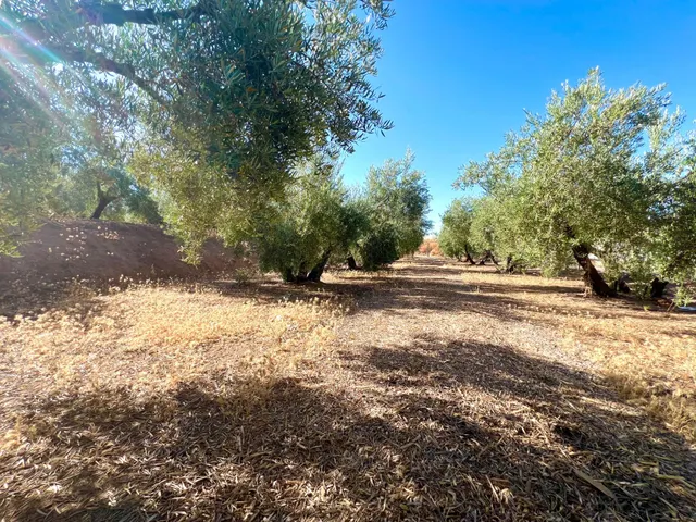 ALBOLOTE - PANTANO CUBILLAS — 46