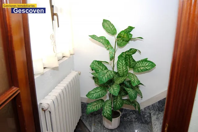 CENTRICO APARTAMENTO DÚPLEX CON CALEFACCIÓN Y GRAN TERRAZA — 11
