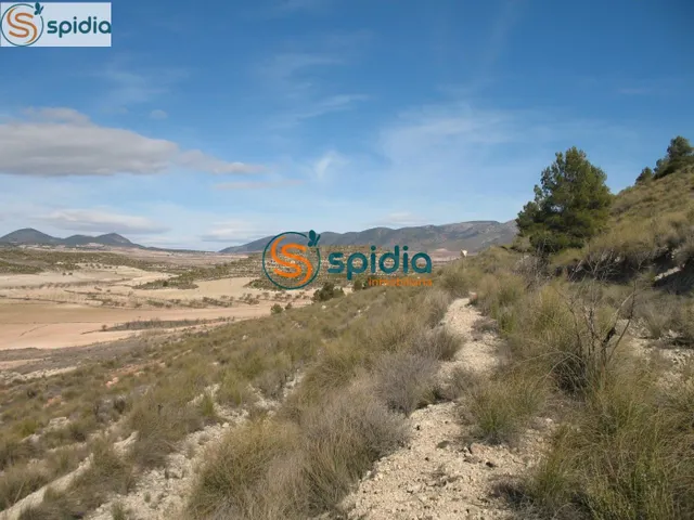 Parcela de 2Ha y 39 Áreas con vistas panorámicas a almendros - foto 2
