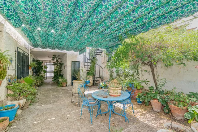 El jardín que siempre soñaste, ahora en Granada capital. — 5