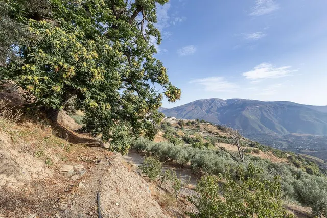 FANTASTICA CASA CON ENCANTO Y PARCELA EN CAÑAR, LA ALPUJARRA — 30
