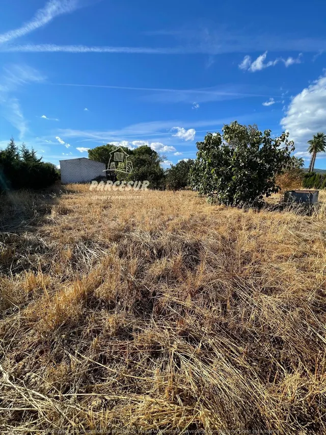 PARCELA DE TERRENO DE 3.000 M2 CON POZO Y LUZ DE ENDESA - foto 5
