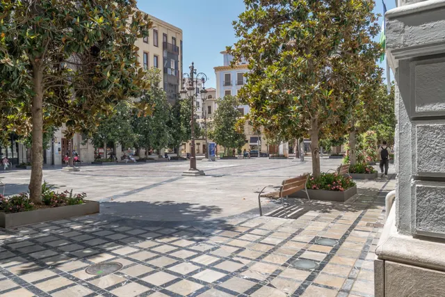 VENTA DE CÉNTRICO PISO CON LICENCIA TURÍSTICA - GRANADA — 49
