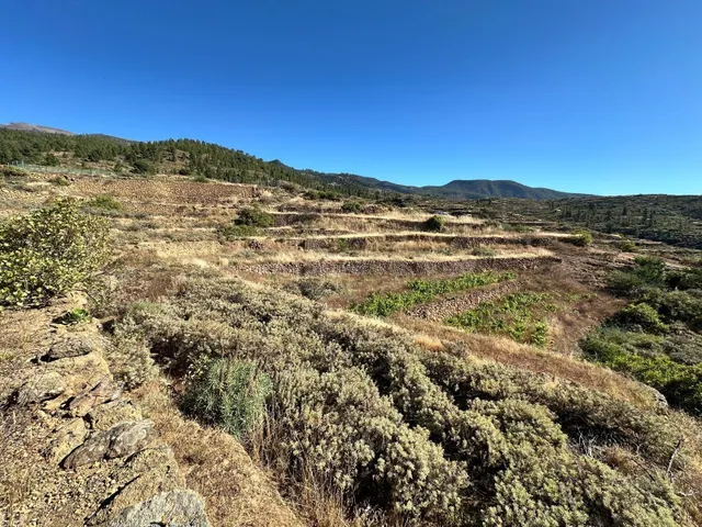 Terreno en Arico - foto 4