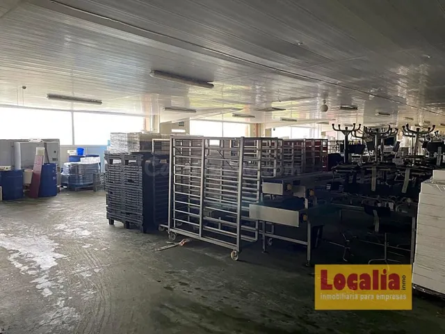 Fábrica de conservas de alimentos en Cantabria - foto 4