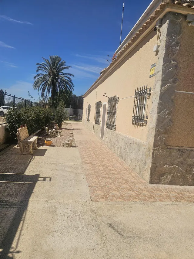 Chalet independiente con parcela a 15 minutos de las playas de Guardamar del Segura — 6