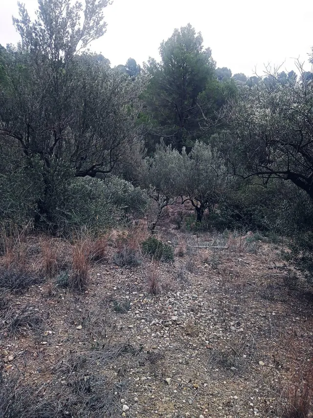 terreno Agrario — 3