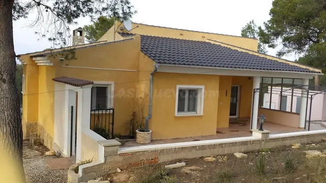 VENTA-FINCA-JUMILLA-MURCIA- CASA 150 M2- PARCELA TOTAL 60.00 - foto 2