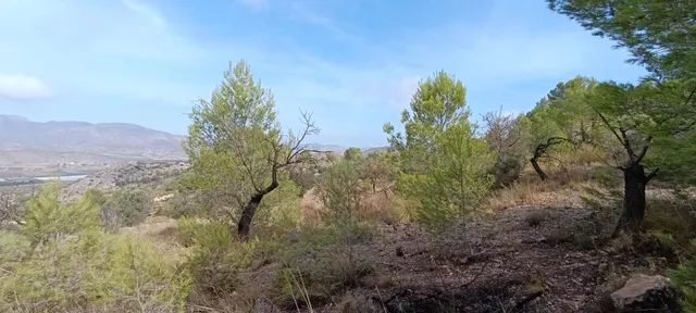 Encantadora Casa de Campo en Hondon de las Nieves - Oportuni