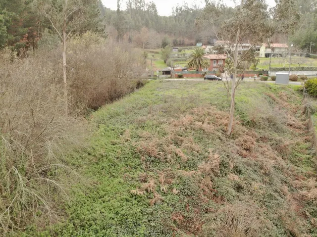 Finca Urbana en OzaCesuras — 10