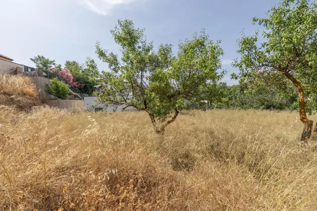 Terreno en Cortijo de la Luz ¡Tu futuro empieza aquí! — 12