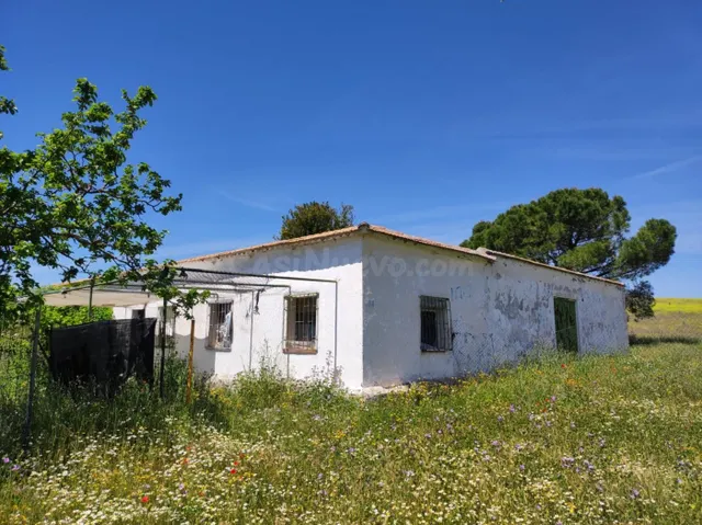 TERRENO EN CIUDAD REAL CARRETERA DE TOLED0 LA ATALAYA - foto 2