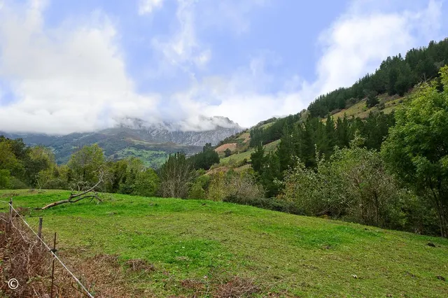 Piso 2 habitaciones 29m² en venta - Picos de europa — 25