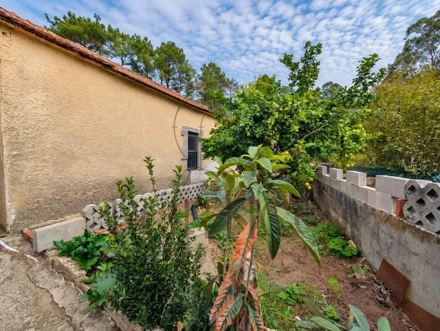 ¡Tu refugio en plena naturaleza! Casa para reformar en Salvatierra — 14