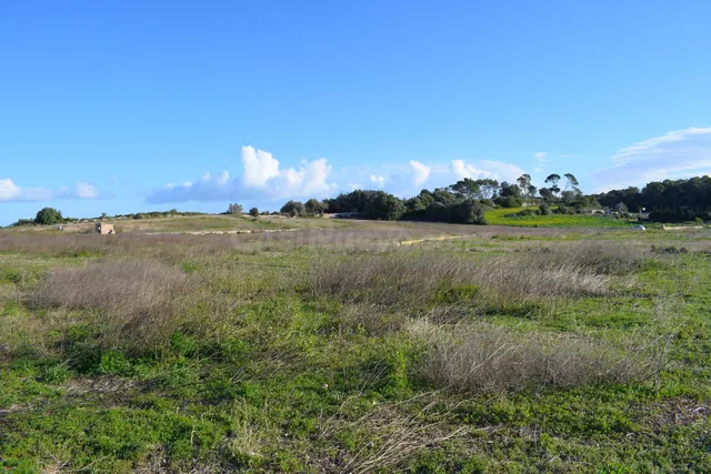 Finca rústica con posibilidad de construir una vivienda en M