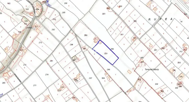 Finca de 7.500 m2 con 200 olivos y almacén de 123 m2 en partida rufea – ¡a solo 5 minutos de Lleida! — 21