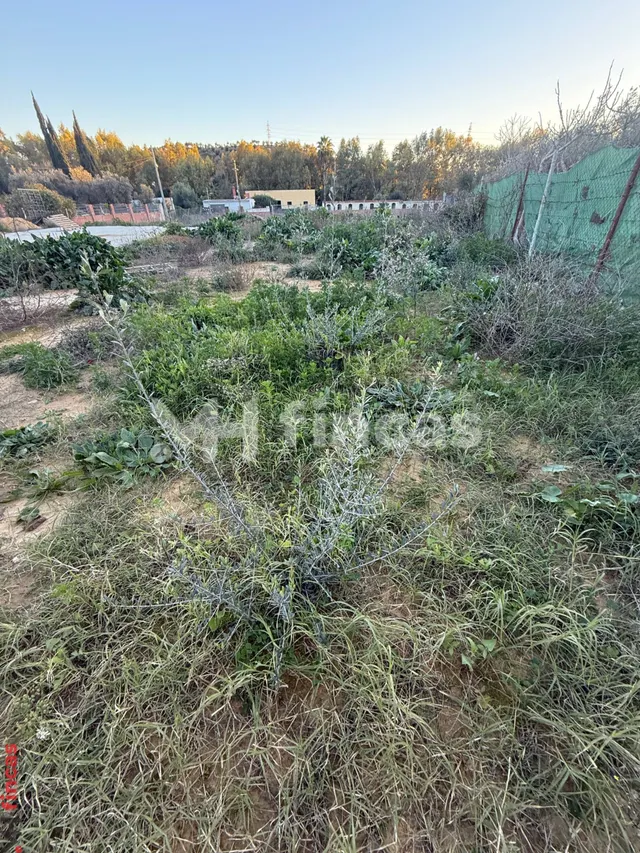 Parcela Urbanizable de 750 m2 en Dos Hermanas | Gran Oportunidad de Inversión | 73.900 € — 12