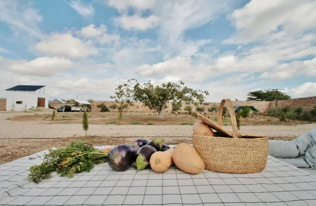 Finca autosuficiente en Alhama de Almería (4d, 2b) — 11
