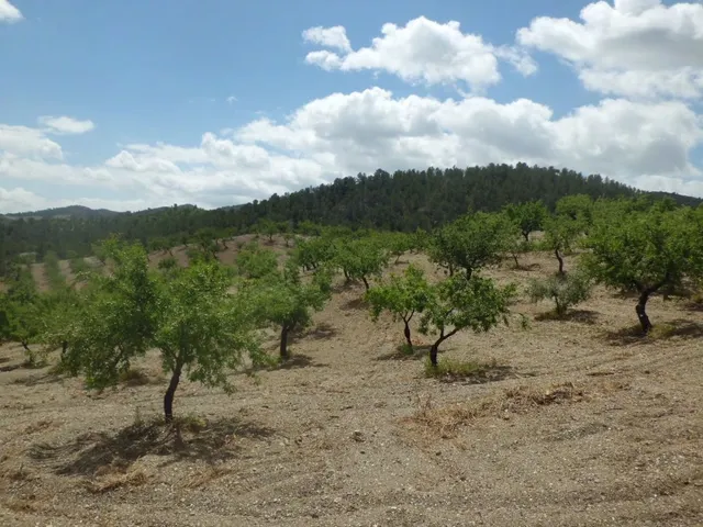 Finca Rústica, LOS GOMEZ, JARALES — 11