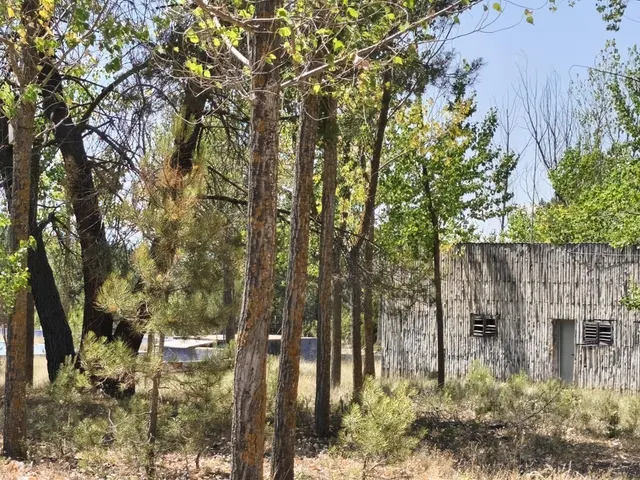 Campamento para reformar en camping o glamping — 3