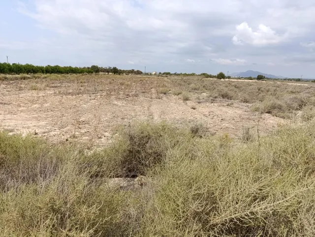 Parcela en Elche pedanias con vistas despejadas - foto 3