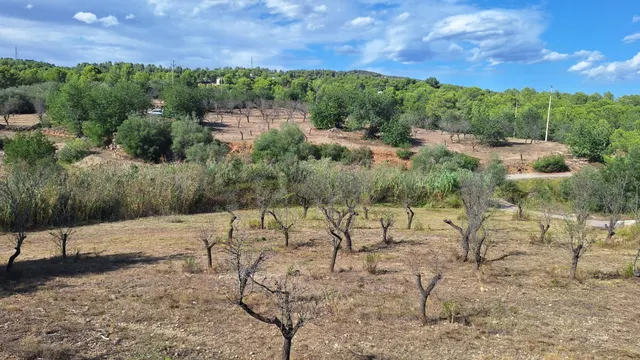 Finca rústica con encanto cerca de El Perelló – 23.000 m2 de naturaleza y tranquilidad — 9