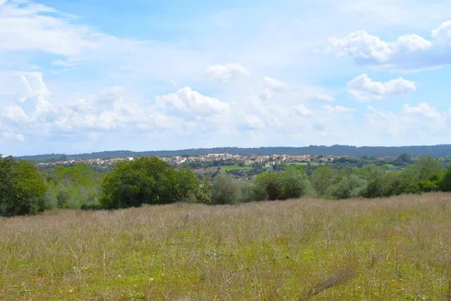 Finca rústica con posibilidad de vivienda en Llubi — 15