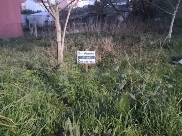 Solar en Avenida de Las Flores - foto 2