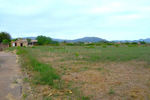 Finca rústica con caseta de herramientas en Muro - foto 2