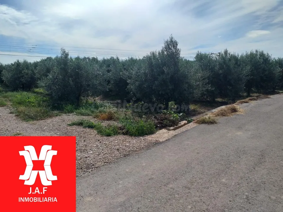 TERRENO DE OLIVERAS A LA VENTA EN MONCADA