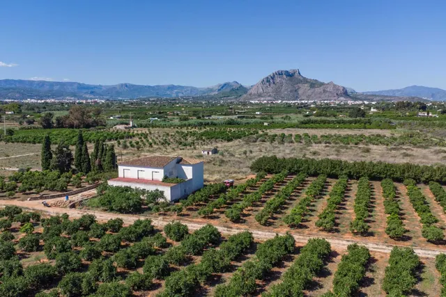 Villa 470m² en venta - El Palmar-Los Molinos - foto 3