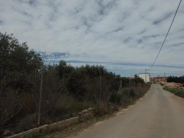 Terreno Rústico de 1800 m2 en Valladolises ✨ — 12