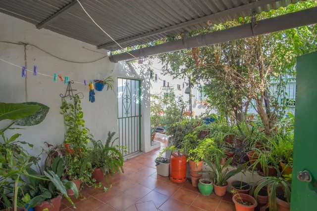 Casa independiente con jardín, patio y azotea en San Fernand - foto 2