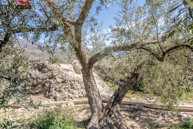 TERRENO EN PINOS DEL VALLE — 19