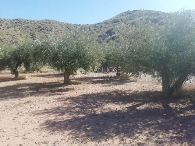 SE VENDE PARCELAMUY CERCA DEL PUEBLO DE MACISVENDA — 13