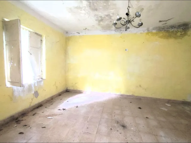 Casa independiente con parcela - foto 5