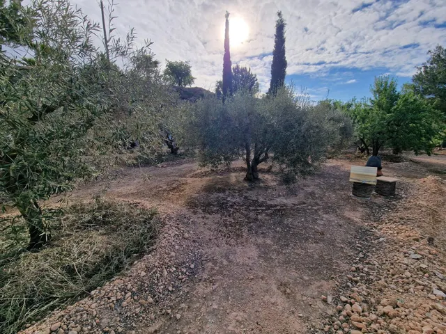 TERRENO CON CASA - CUEVA EN EL HONDON DE LAS NIEVES — 18