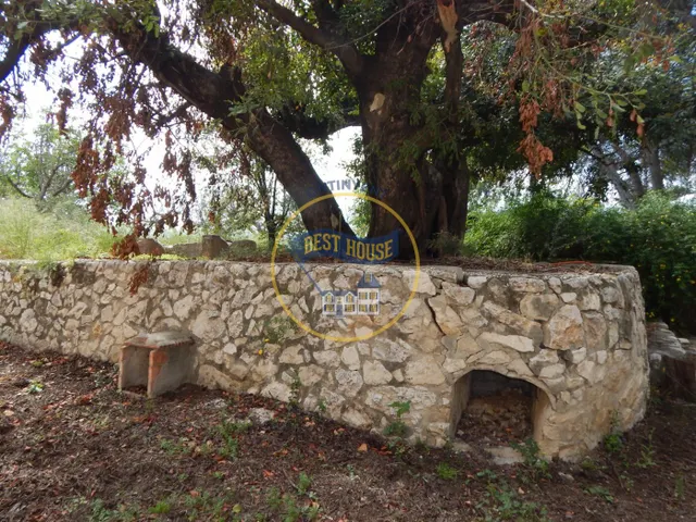 PRECIOSA CASA  A LA VENTA EN EL TÉRMINO DE AGULLENT(VALENCIA) — 43