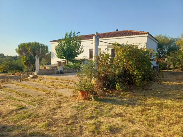FINCA RÚSTICA A 1 KM DE LA PUEBLA DEL RÍO – 3.300 m2, VIVIEN