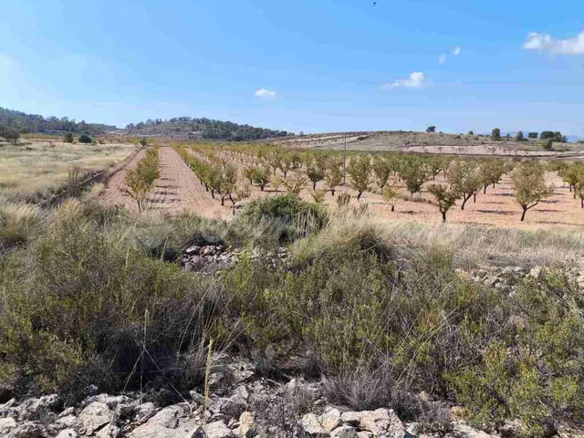 Suelo rústico en Venta en Jumilla Murcia — 15