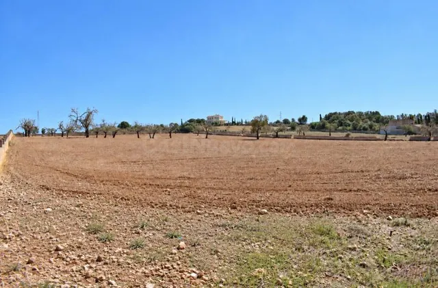Finca rústica con posibilidad de vivienda en Ariany — 2