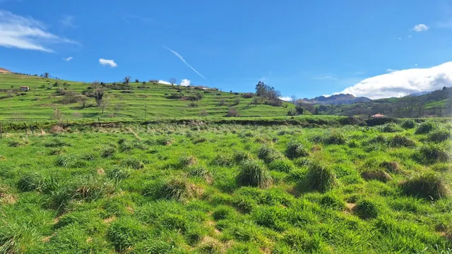 Terreno en Venta en Selaya, Cantabria - foto 3
