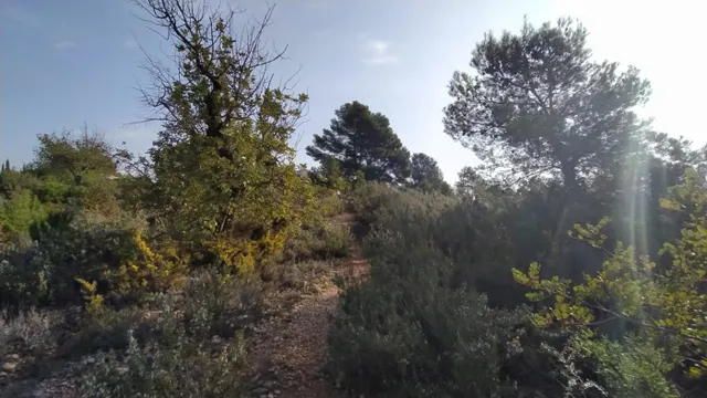 Se vende terreno de secano en Llíria. / HH Asesores, Inmobiliaria en Burjassot/ — 5