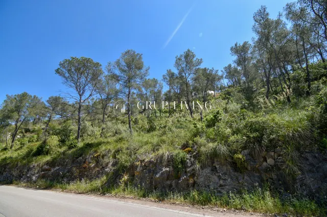TERRENO EN MAS MESTRE, OLIVELLA — 3
