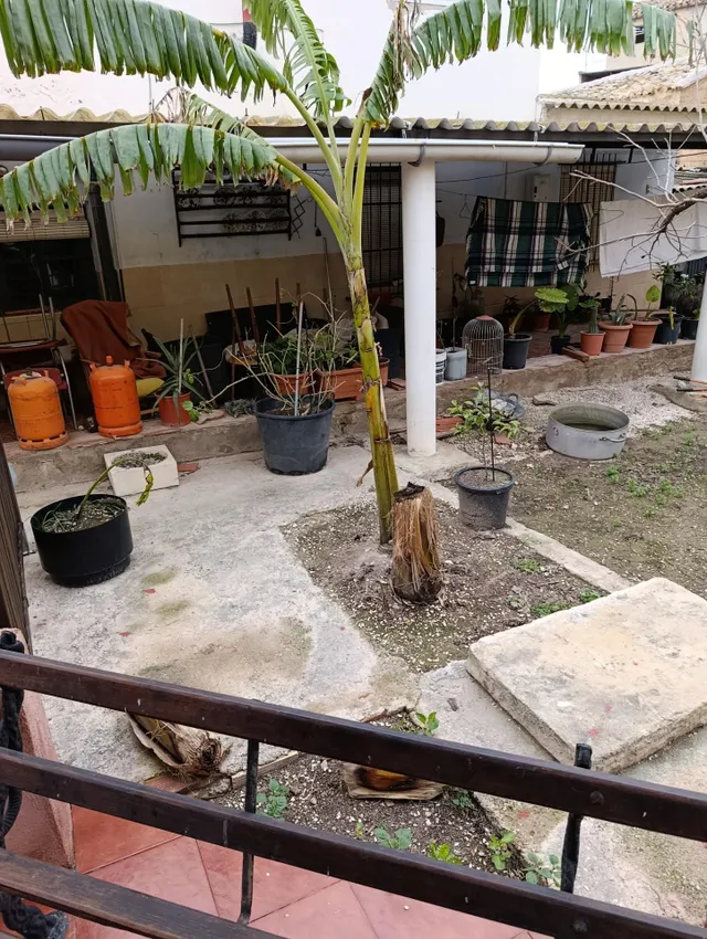 VIVIENDA CON TERRENO CENTRO MULA — 14