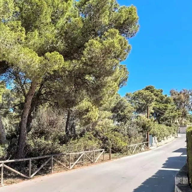 Parcela en Venta en Jávea – 927 m2 en Balcón de Mar con Luz  - foto 2