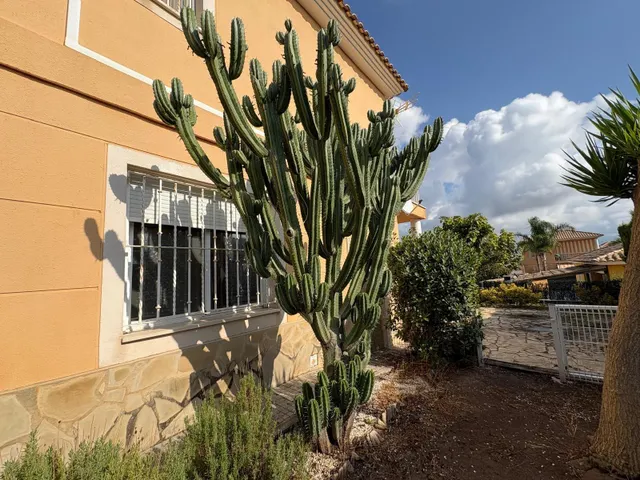 Chalet independiente en Urbanización Vall de Lliria — 21
