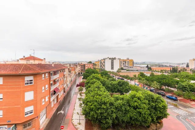 Vive en Cabezo de Torres — 15