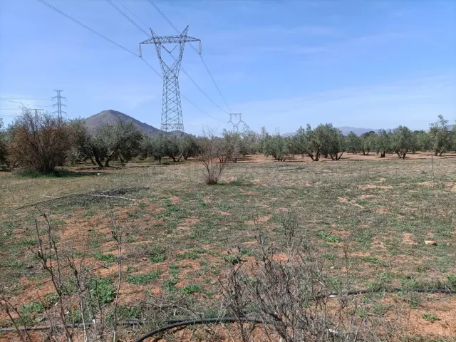 Finca rústica en venta — 2